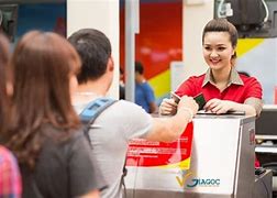 Cách Làm Thủ Tục Cho Chó Đi Máy Bay Vietjet