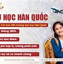 Cty Xuất Khẩu Lao Động Amc Hàn Quốc 2024 Terbaru